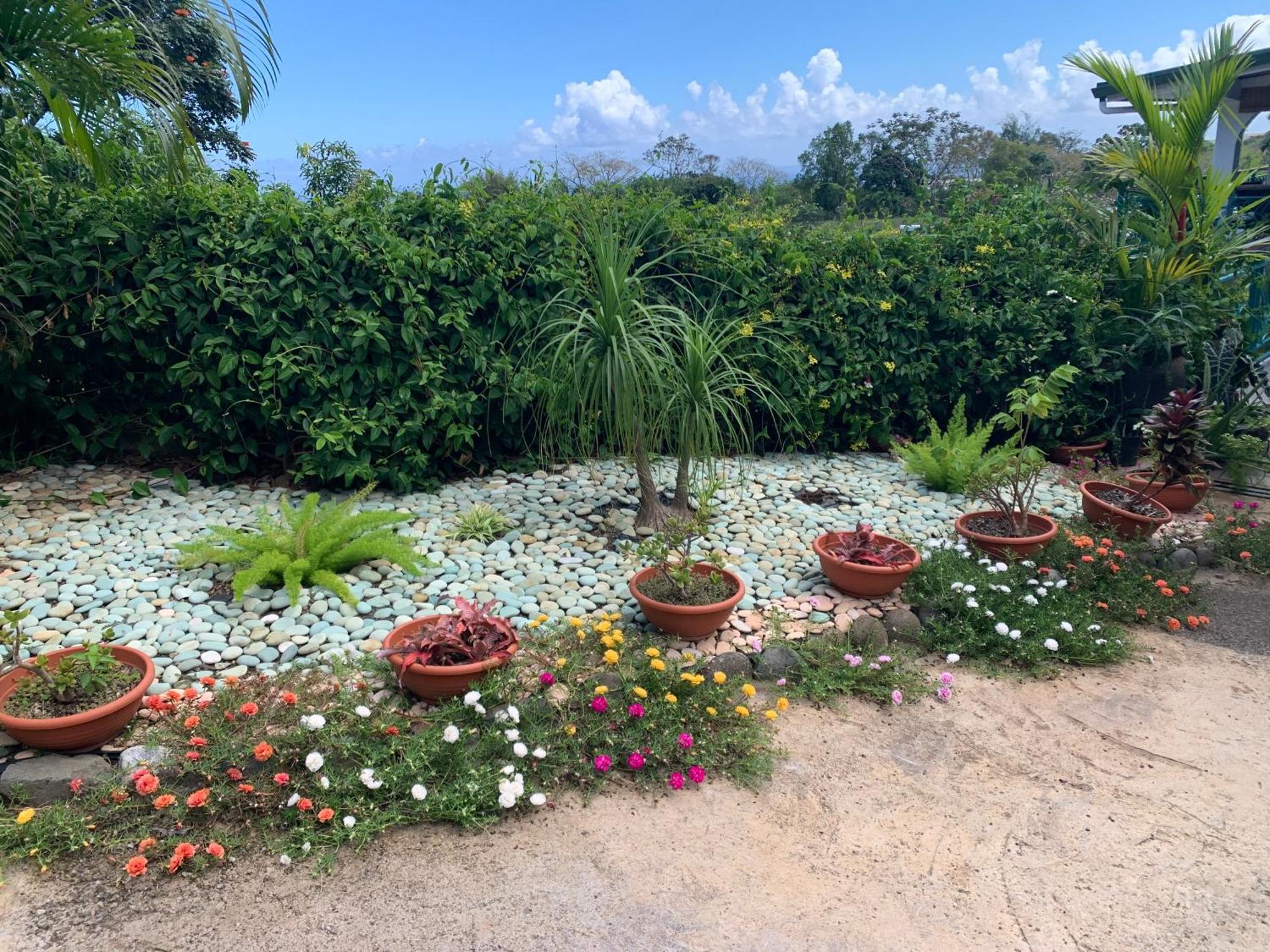 Villa Teanaiva Punaauia  Exterior photo